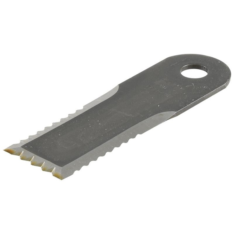 Straw Chopper Blade - Serrated, 173 x 50 x 4mm (Hole : 18mm) To fit as: 89833966 | Sparex Part Number: S.131013