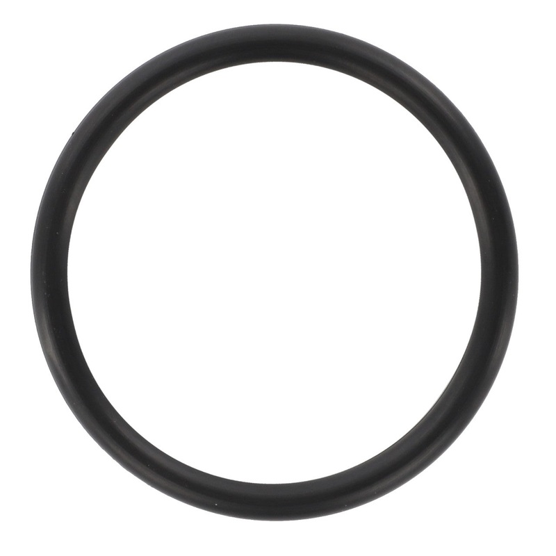 *STOCK CLEARANCE* - O Ring - 1749440M1
