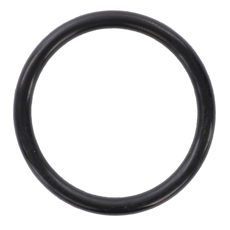 *SPECIAL PRICE* - AGCO | O Ring - 4232007M1