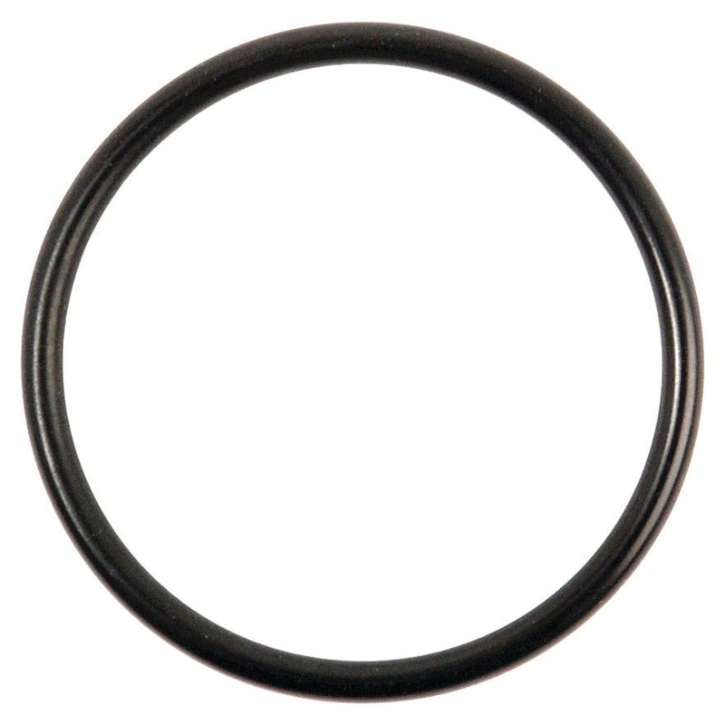 *STOCK CLEARANCE* - O Ring - S.8971