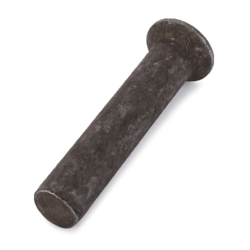 *SPECIAL PRICE* - Massey Ferguson - Rivet Gear - 195648M1