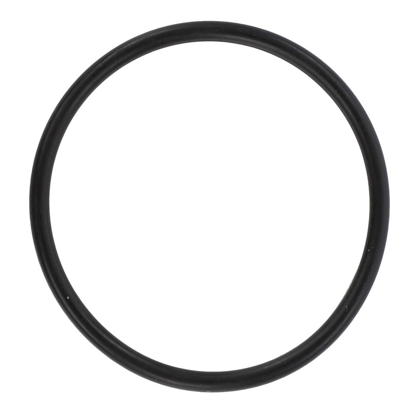 *SPECIAL PRICE* - O Ring - 394813X1