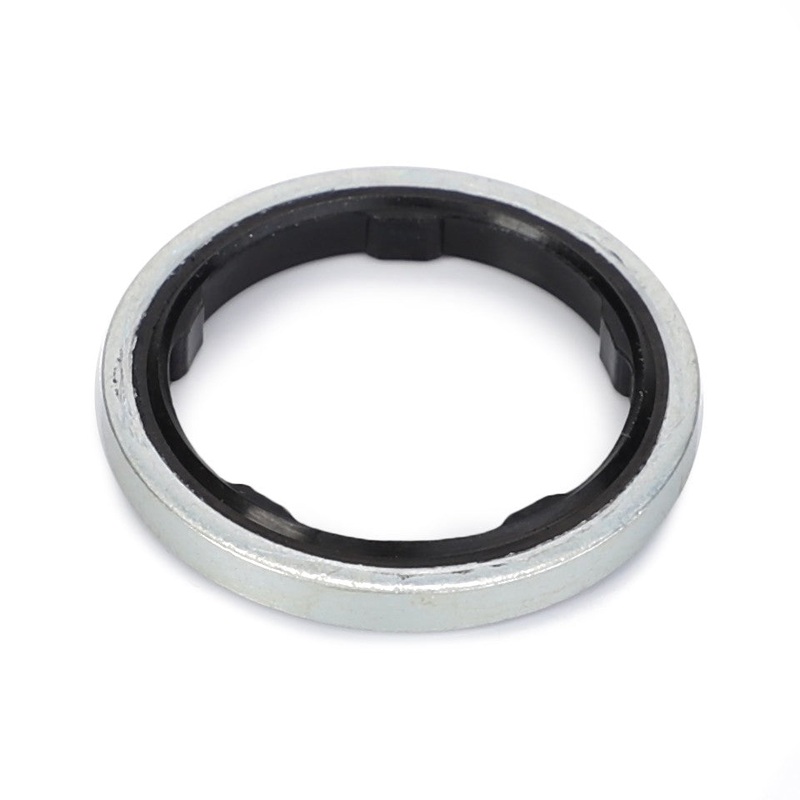 *SPECIAL PRICE* - Gaskets - 945950250200