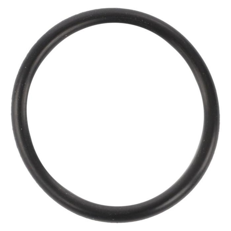 *SPECIAL PRICE* - Massey Ferguson - Pump O Ring - 359229X1 - 70925639