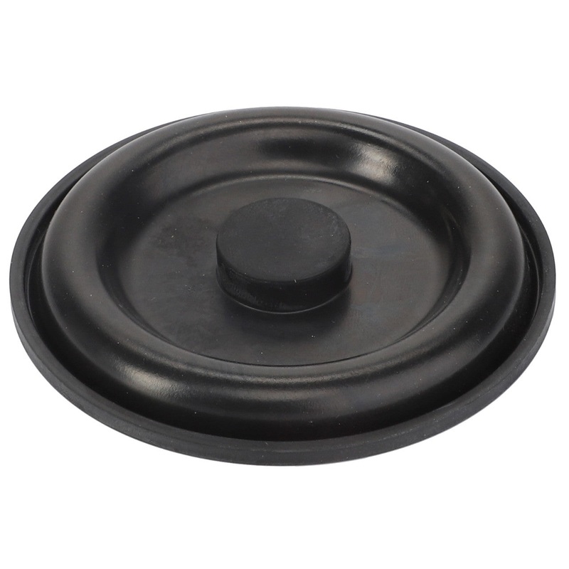 *SPECIAL PRICE* - Diaphragm - 4225000M1