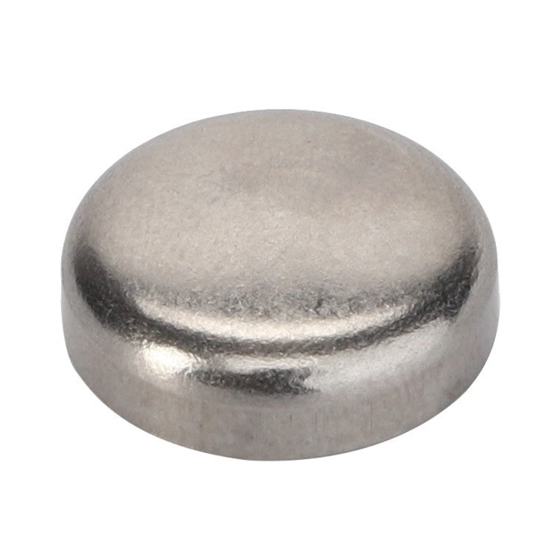 *SPECIAL PRICE* - Plug - 4226580M1