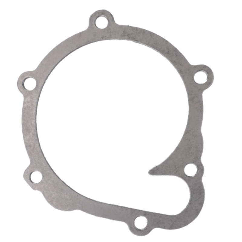 *SPECIAL PRICE* - Fendt - Gasket Water Pump - F119200610040