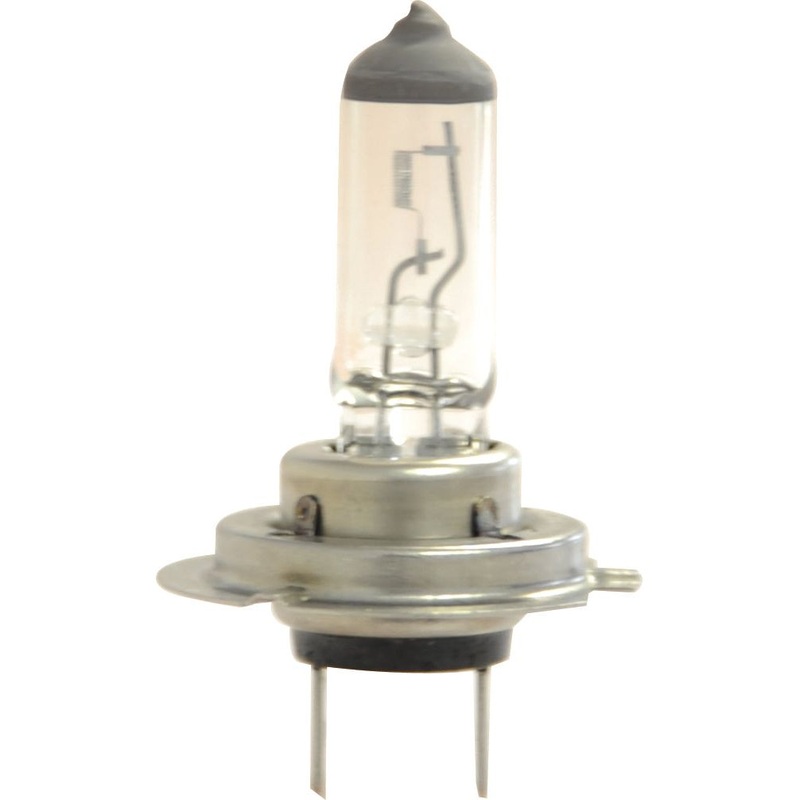 *SPECIAL PRICE* - Light Bulb (Halogen), 12V, 55W, PX26d (Box 1 pc.) | Sparex Part No.S.109990
